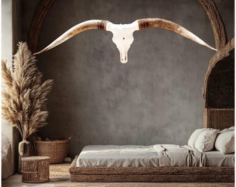 Texas Longhorn Bull Skull | Legacy Art Piece | One of a Kind 851