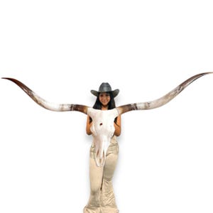 Longhorn Cow Skull | Modern Farmhouse | Repurposed Authentic Art 806