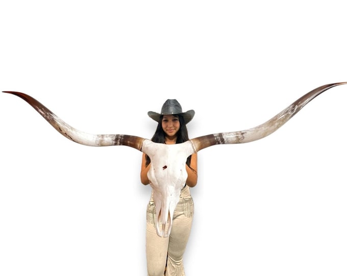 Featured listing image: Longhorn Cow Skull | Modern Farmhouse | Repurposed Authentic Art 806