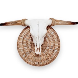 Real Longhorn Skull | Western Home Decor | Rustic Farmhouse | Art 776