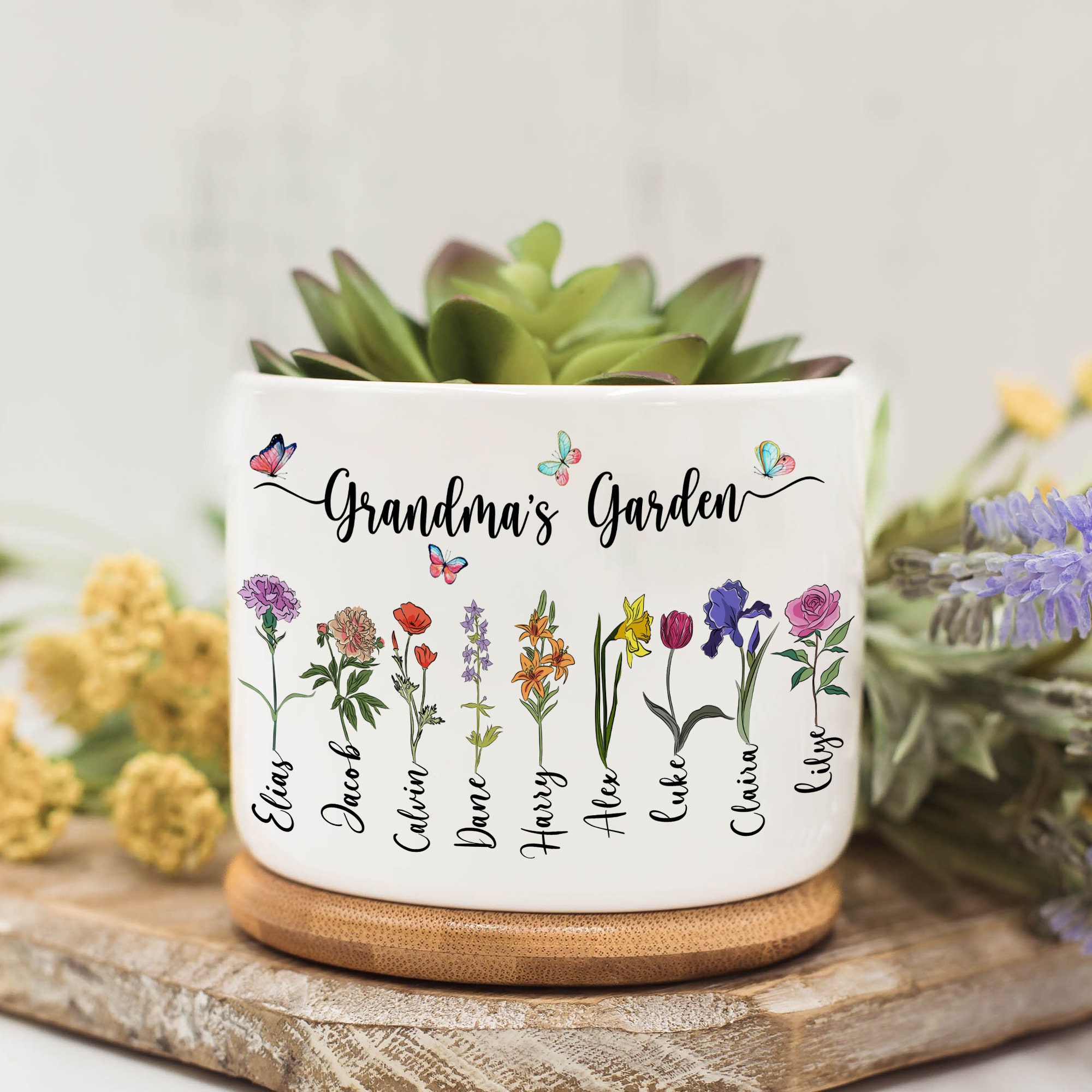 Customized gift small flowers and plants with English name