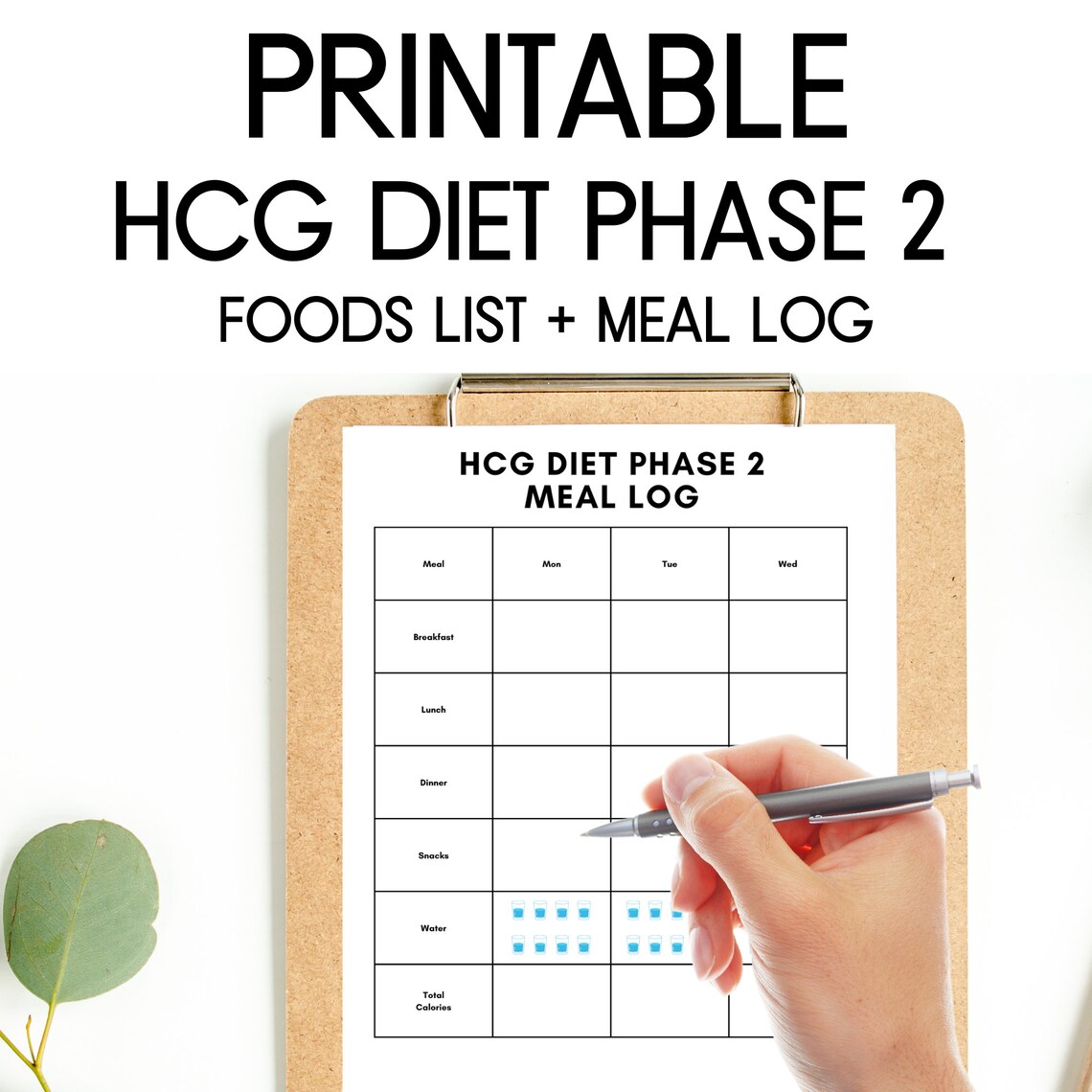 HCG Diet Phase 2 Food List, HCG Phase 2 Food List PDF, Food Tracker ...