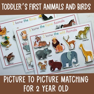 Op de afbeelding: Een set kleurrijke flashcards met verschillende dieren en vogels. De kaarten zijn gelabeld met de naam van het dier en hebben de tekst "Ik ken de vogels", "Ik ken de boerderijdieren" en "Ik ken de wilde dieren". De kaarten zijn ontworpen voor peuters en bevatten een beeld-naar-beeld-matching-activiteit.