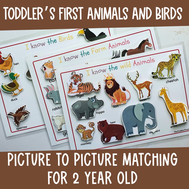 Op de afbeelding: Een set kleurrijke flashcards met verschillende dieren en vogels. De kaarten zijn gelabeld met de naam van het dier en hebben de tekst "Ik ken de vogels", "Ik ken de boerderijdieren" en "Ik ken de wilde dieren". De kaarten zijn ontworpen voor peuters en bevatten een beeld-naar-beeld-matching-activiteit.
