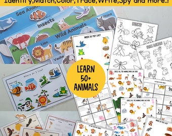 Animals Learning Preschool Bundle, Preschool curriculum, Toddler activities. Shadow matching, Back to school, Homeschool worksheets