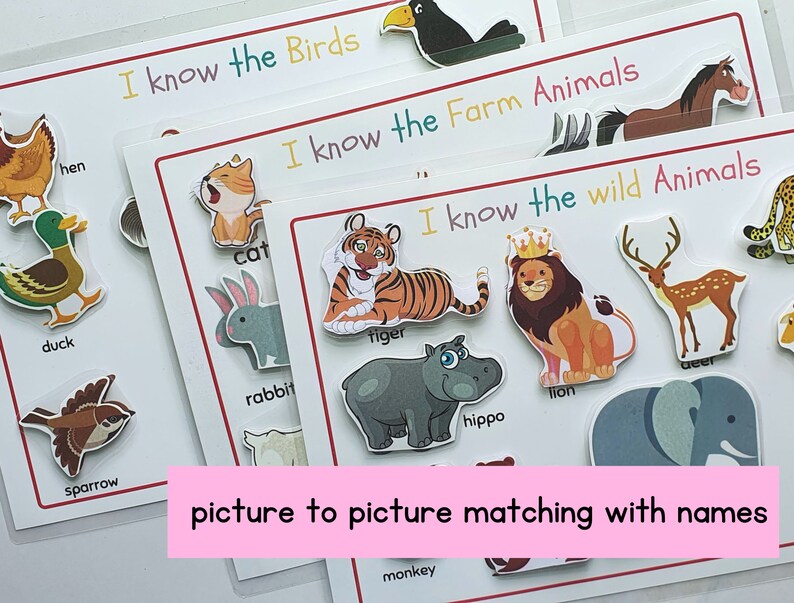Op de afbeelding: Een set kleurrijke flashcards met afbeeldingen van dieren en hun namen. De kaarten zijn gelabeld met "Ik ken de vogels", "Ik ken de boerderijdieren" en "Ik ken de wilde dieren".