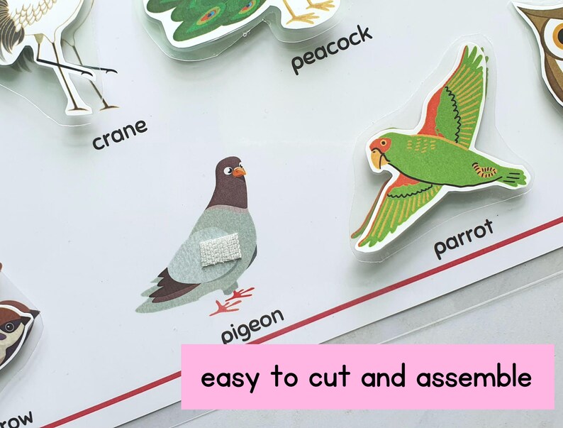 Op de afbeelding: Een set kleurrijke vogeluitknipsels met namen, waaronder een kraanvogel, pauw, papegaai, duif en mus. De tekst "gemakkelijk te knippen en te assembleren" is gedrukt op een roze achtergrond.
