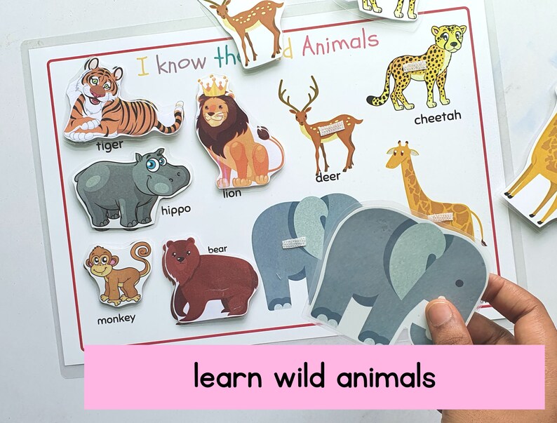 Op de afbeelding: Een kleurrijk educatief leerbord met afbeeldingen van wilde dieren, waaronder een tijger, een leeuw, een hert, een cheetah, een giraffe, een nijlpaard, een beer, een aap en een olifant. Het bord heeft de tekst "I know the Animals" en "learn wild animals".