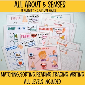 Five senses Leaning Busy Binder,Toddler Busy Book, preschool curriculum, Homeschool Learning resources, My sense organs activity preschool