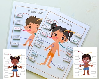Busy binder activity|Body parts|homeschool curriculum|Preschool Worksheet|Busy Book Ideas|2 year old|file folder game