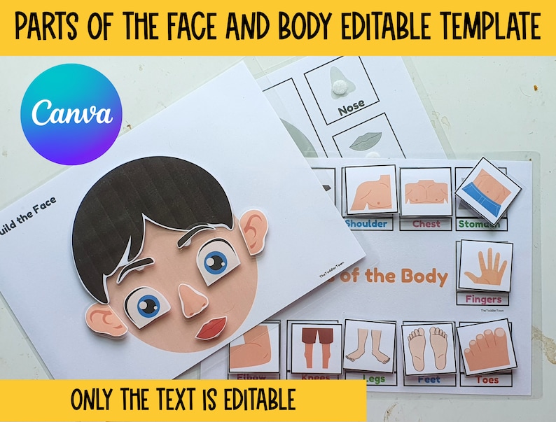 May include: A printable educational activity for children to learn about the parts of the face and body. The printable includes images of a face, nose, mouth, eyes, ears, hair, shoulder, chest, stomach, fingers, legs, feet, and toes. The text "Parts of the Face and Body Editable Template" and "Only the text is editable" is included on the printable.