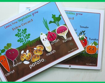 Peuter drukke boekenactiviteit, drukke binder, voorschools curriculum, plantenactiviteit, waar groeien groenten, voorschoolse lenteactiviteit