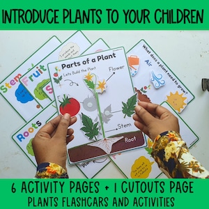 May include: A set of six colourful printable activity pages and one cutout page for teaching children about the parts of a plant. The pages feature illustrations of a flower, stem, roots, fruit, and the text "Let's Build the Plant".