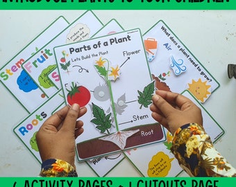 All About Plants Preschool Printable, Preschool Curriculum,preschool plants activity, parts of a plant, preschool Spring activities