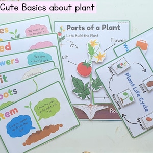 All About Plants Preschool Printable, Preschool Curriculum,preschool ...