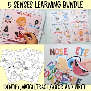 Five senses Learning Bundle for Preschool,5 senses sorting activity,Five sences coloring Pages,5 senses flashcards,preschool curriculum unit