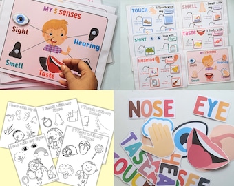Paquete de aprendizaje de los cinco sentidos para preescolar, actividad de clasificación de los 5 sentidos, páginas para colorear de los cinco sentidos, tarjetas didácticas de los 5 sentidos, unidad de plan de estudios preescolar