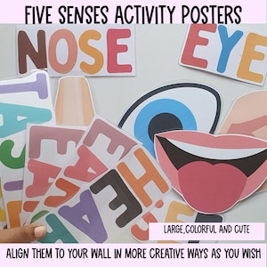 Affiches d'activité Five Senses, tableaux d'affichage à imprimer, Mon corps, grandes cartes-éclair pour les tout-petits, classeur d'apprentissage, programme préscolaire