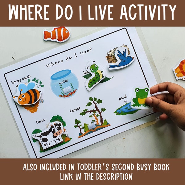 Toddler Busy Book activity, preschool curriculum Homeschool, Toddler learning binder, Busy Book Ideas,2 year old quiet book