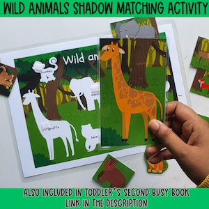 Busy binder activity|Animals|educational book toddler Learning binder|Preschool Worksheet|Busy Book Ideas|2 year old|file folder game