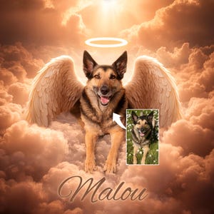 Handgezeichnete Haustier-Gedenk-Kunst - Individueller Tribut für Hund oder Katze mit Heiligenschein & Flügeln