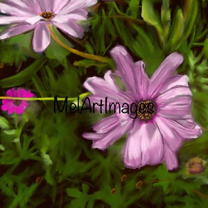 Pink Flower
