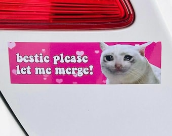 May include: A rectangular bumper sticker with a bright pink background featuring white heart shapes and the text "bestie please let me merge!" in a white font. On the right side, there is a photograph of a white cat with teary eyes.