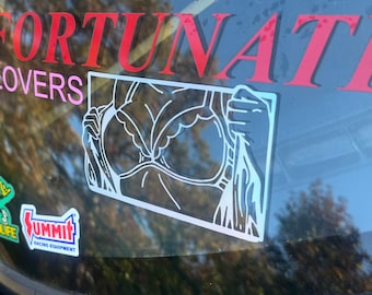 Anime Bewbs Car Decal, Waifu Vinyl Sticker, Funny JDM Drift Window