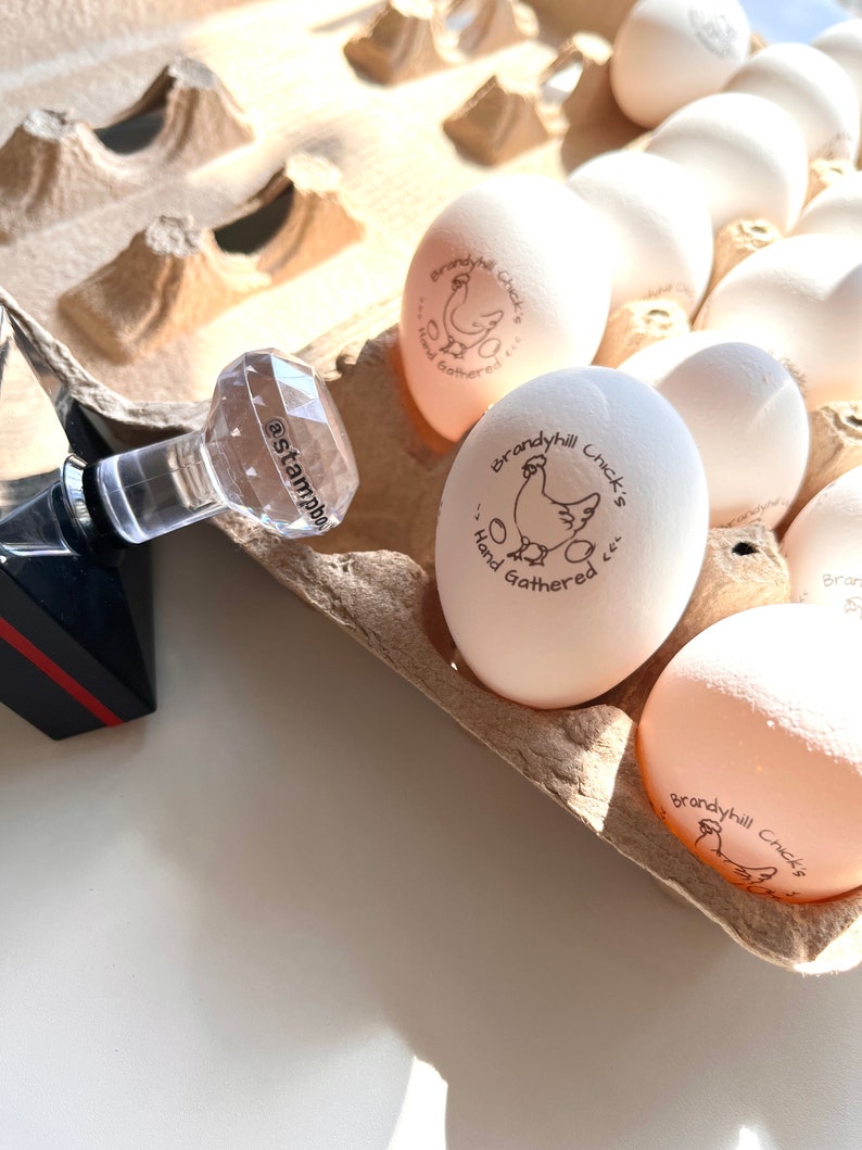 May include: A carton of white eggs with a brown paper egg carton. Each egg has a brown stamp that says "Brandyhill Chick's Hand Gathered".
