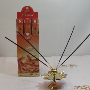 Cinnamon Incense sticks (Wholesale Pack) 6 tubes of 20 sticks each. Total 120 stics