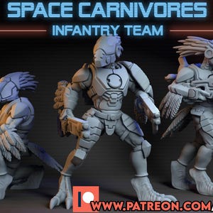 May include: Three futuristic infantry figures in a gray color scheme, with avian-like features and weapons. The figures are posed in a dynamic arrangement against a dark background. Text at the top reads "SPACE CARNIVORES INFANTRY TEAM".