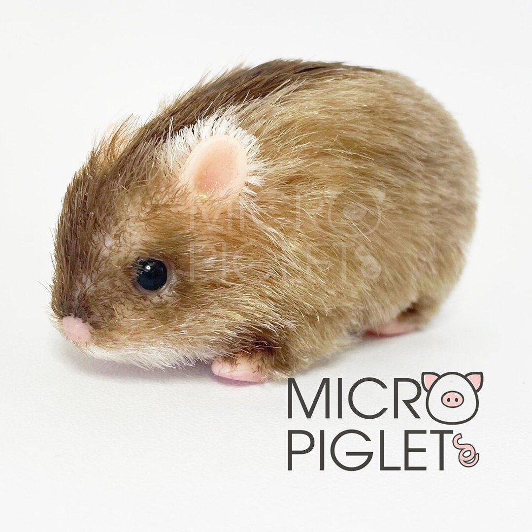 China Silicone Reborn Hamster PRE ORDER Silicone Piglet Etsy