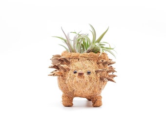 Handcrafted Baby Hedgehog Animal Planter | Boho Eclectic Succulent Planter | Hedgie Succulent Décor | Whimsical Animal Planters