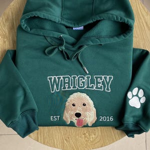 Custom Cat Hoodie Embroidered Cat Name, Personalized Pet Face Sweatshirt from Your Photo, Varsity Sweatshirt, Gifts for Cat Lovers