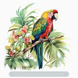 水彩オウムのクリップアート、熱帯の鳥、花柄のオウムのクリップアート、印刷可能な昇華グラフィック、透明、鳥の壁アートプリント、オーバーレイ