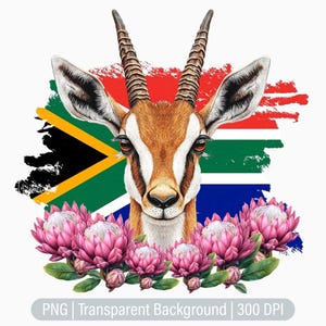 South African Springbok Clipart, Protea PNG, antelope Clipart, Junk Journals, Scrapbooking, Printable Sublimation Graphics, Commercial Use