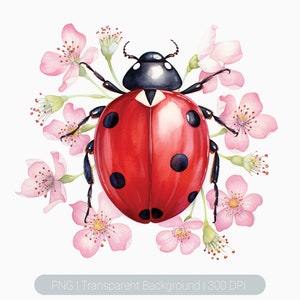 Watercolor Ladybug Clipart Bundle, Floral Cute Lady Bug Prints, Ladybug on leaf, Spring, Nursery, transparent png, Ladybug Wall Art Prints