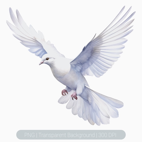Flying White Doves Clipart, Watercolor doves png, Floral White dove, Dove prints, Sublimation Graphics, transparent png, Wall Art Print