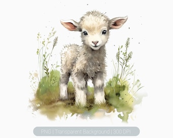 Baby Lamp Clipart, sheep clipart, Watercolor baby Sheep png, lamp PNG, Sublimation Graphics, transparent, Wall Art Prints, Sheep Overlays