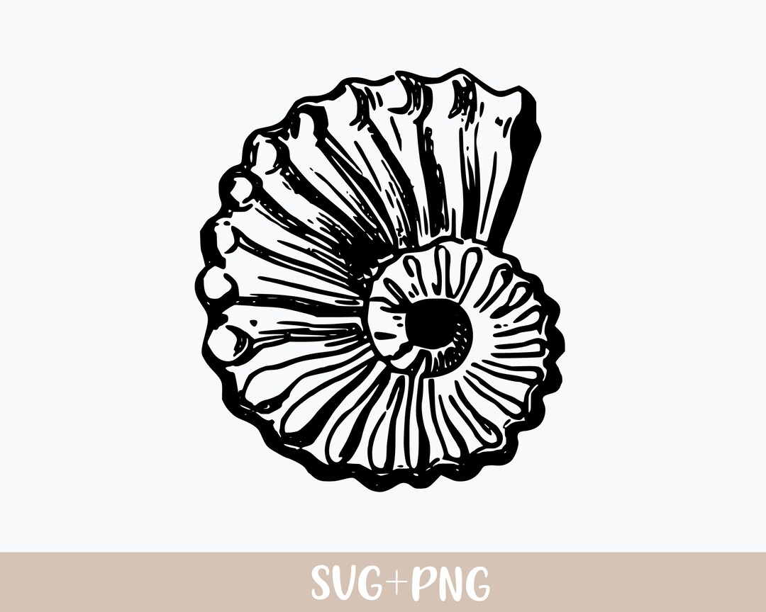Shelline Svg Sea Shell SVG, Shell Svg, Seashell Svg, Shellfish Svg, Beach Shell Svg ...