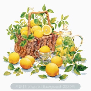 Aquarel citroenmand clipart, zoete citroen, limonade png, picknick, fruitafbeeldingen Afdrukbare afbeeldingen sublimatie, transparant, kunstafdrukken