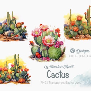 Clipart cactus aquarelle, clipart cactus du désert, cactus du désert, graphiques clipart succulents Impression par sublimation, fond transparent png thumbnail