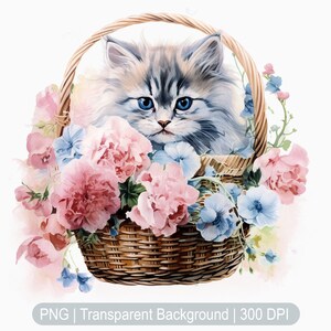 Kitten in basket clipart, Cute Watercolor kitten clipart, Cat png, Baby Cat Graphics, transparent png, Floral cat, Cat Clipart, Art Prints