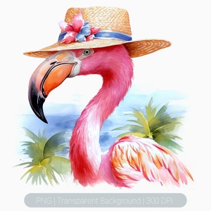 Watercolor Flamingo Clipart - tropical birds with flowers and leaves, beach flamingo,  Sublimation graphics, transparent background png