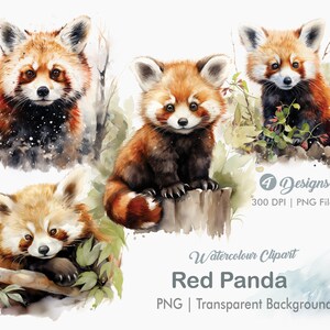 Red Panda Clipart, Panda Bear PNG, Fabricación de tarjetas, Diarios basura, Scrapbooking, Gráficos de sublimación, png transparente, Impresiones de arte