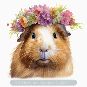 Watercolor Guinea Pig Clipart, Cute Floral Guinea pig, Guinea pig png, Printable graphics Sublimation, transparent png, Animal Art Print