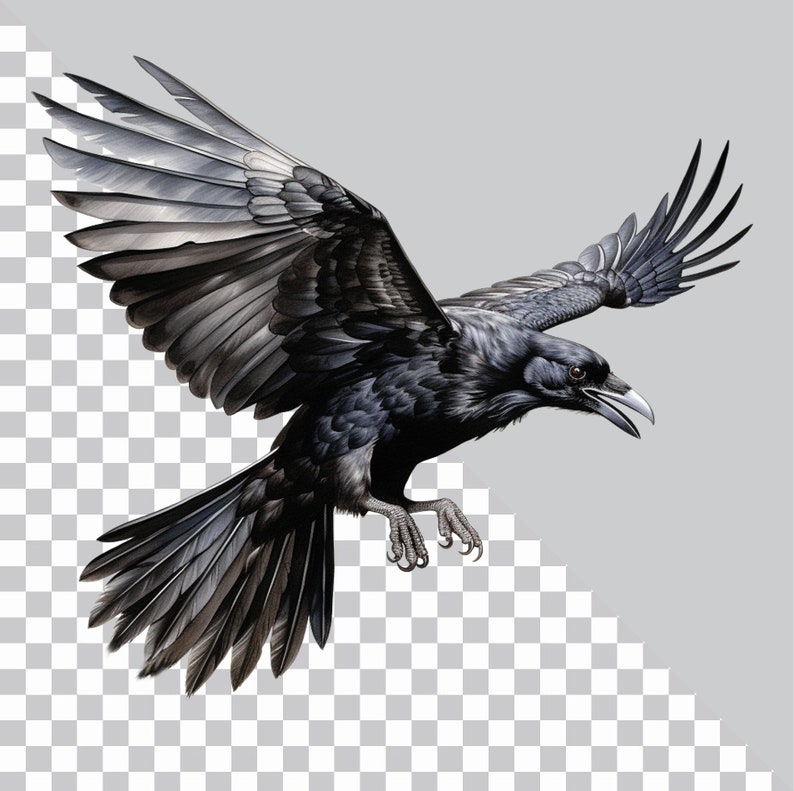 May include: A black crow with its wings spread wide, in flight. The crow has a sharp beak and dark feathers.