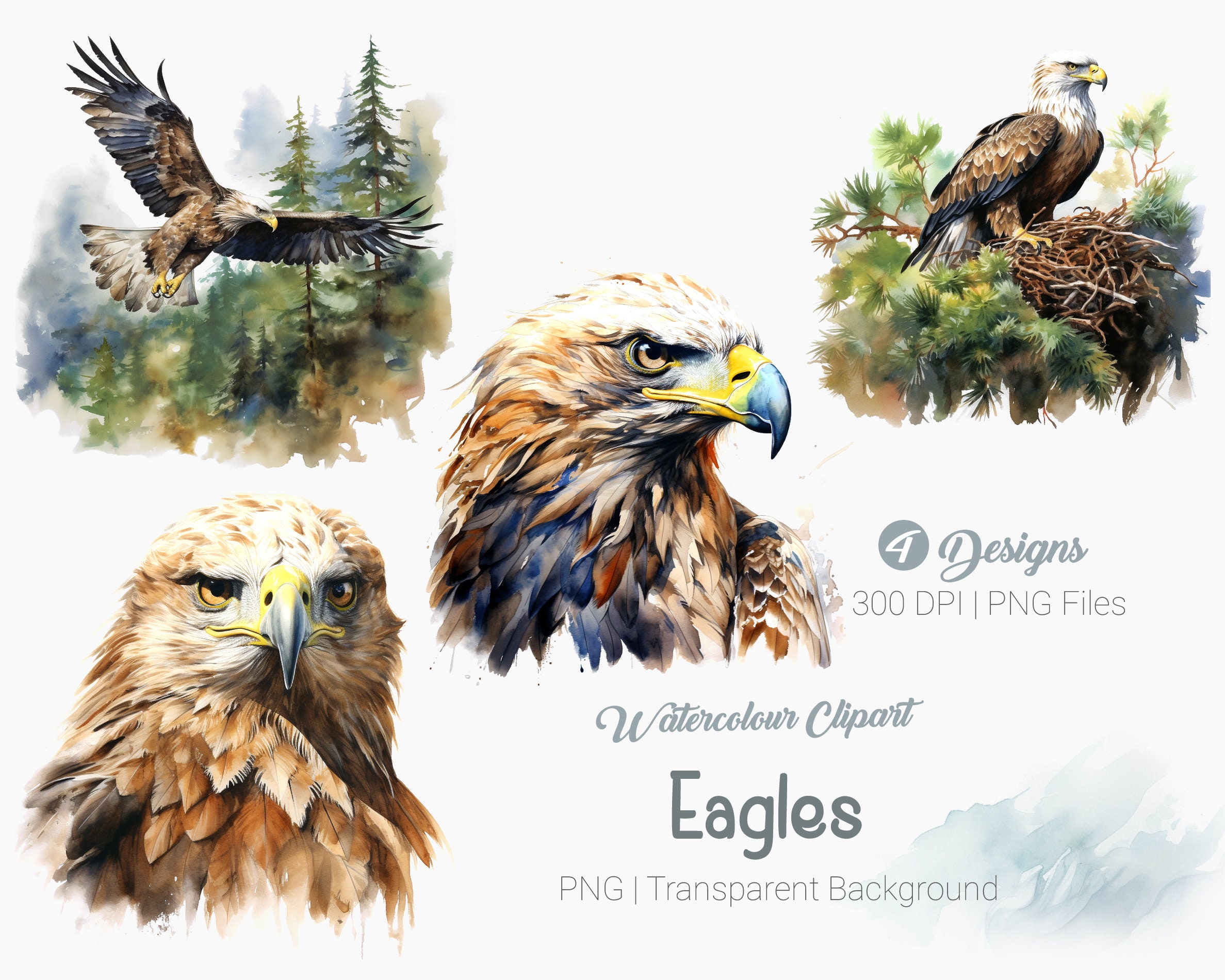 Aquarell Adler Clipart, Adler PNG, Weißkopfseeadler Illustration, Amerikanischer Adler Clipart, Sublimationsgrafiken drucken, transparenter Hintergrund PNG