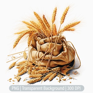 Clipart pszenicy, Wheat Bag PNG, Clipart mąki pszenicy, Junk Journals, Scrapbooking, Grafika sublimacyjna, Przezroczyste png, Wydruki artystyczne