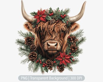 Op de afbeelding: Een Highland koe met lange, ruwe bruine vacht draagt een kerstkrans gemaakt van dennentakken, rode bessen, dennenappels en kerststerren.